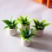 Mini pots de fleurs miniatures pour maison de poupée - BE7K4MKBT