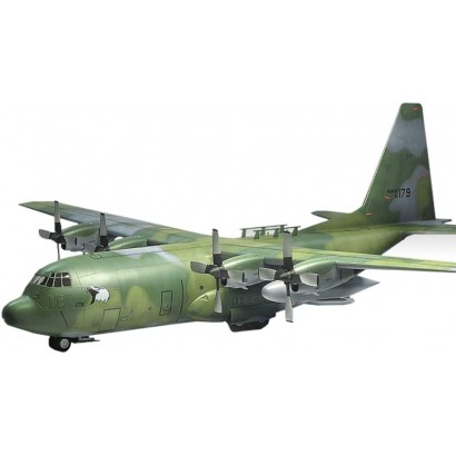 CMO Kits de Modélisme en Plastique Avion de Transport C-130H E Hercules USAF Militaire Modèle de Avions Echelle 1 48 Jouets et Cadeaux pour Adultes 16,3 X 22 Pouces - BK85KGNOI